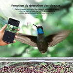 Mangeoire d'Oiseaux Intelligente avec Caméra