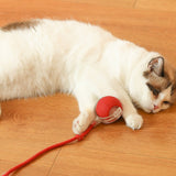 Balle interactive pour chat d'intérieur