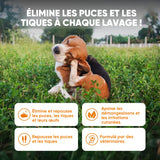 Spray de soin cutané pour chien contre puces et tiques