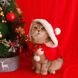 Cape de Noël pour animaux de compagnie