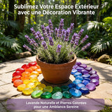 Pierres de jardin phosphorescentes