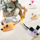 Jouets pour chats