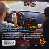 Feu de Palme pour Voiture