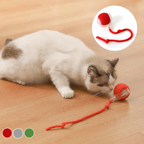 Balle interactive pour chat d'intérieur