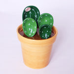 Cuillère à mesurer en céramique Cactus