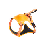 Harnais et laisse rétractable tout-en-un pour chien