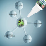 Solution nutritive pratique pour plantes