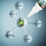 Solution nutritive pratique pour plantes