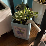 Jardinière en carton de jus de fruit