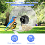 Mangeoire d'Oiseaux Intelligente avec Caméra
