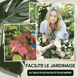 Ciseaux de Jardinage Portatifs à Bouts Pointus