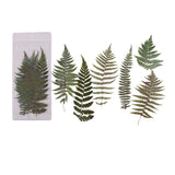 Ensemble d'autocollants de fleurs séchées