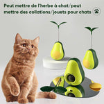 Avocat déchaîné