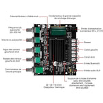 Module amplificateur de puissance pour récepteur audio 2.1 canaux