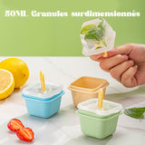 Moule pour Bac à Glace Simple（3 pcs）