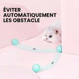 Cache-cache chat taquin