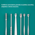 Ensemble de 6 cuillères à oreille en acier inoxydable