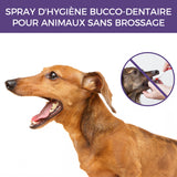Spray de nettoyage pour animaux de compagnie