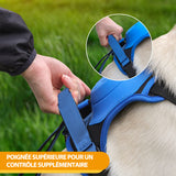 Harnais et laisse rétractable tout-en-un pour chien