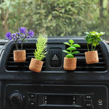Mini Plante Décoratif Polyvalent de Voiture et Frigo
