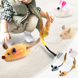 Jouets pour chats