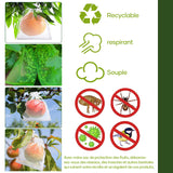 Sac de Protection pour Fruits (100 PCS)