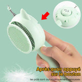 Peigne multifonctions pour animaux de compagnie