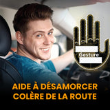 Feu de Palme pour Voiture