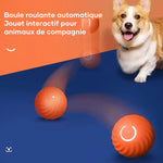 Balle pour chien taquine automatique et intelligente