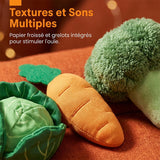 Ensemble de jouets interactifs pour bébé, jardin sensoriel