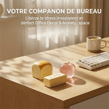 Coffret de boîtes surprises « Squishies » à la maltose