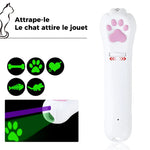 "Attrape-le" Le chat attire les jouets