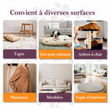 Brosse pour chiens pour la perte de poils et le toilettage