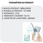 Nébuliseur portable