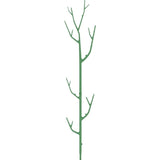 Tuteurs pour Plantes en Forme de Branche