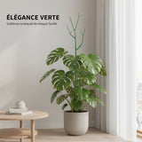 Tuteurs pour Plantes en Forme de Branche