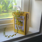 Jardinière en carton de jus de fruit