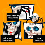 Jouet araignée squelette