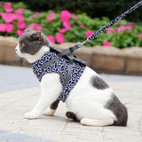 Veste de Harnais et Laisse pour Chat