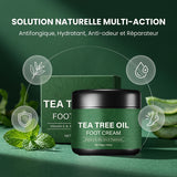 Crème pour les pieds à l’huile d’arbre à thé