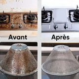 Nettoyeur vapeur haute température à main 2500 W