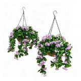 Paniers suspendus de faux lilas des Indes