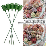 Bouquet Spécial pour Succulentes