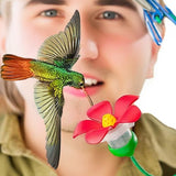 Mangeoire à colibri à chapeau