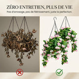 Paniers suspendus de faux lilas des Indes