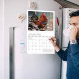 Calendrier mural Big Cocks 2024 - Une collection élégante de photos de coqs