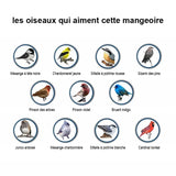 Mangeoire à oiseaux anti-écureuil