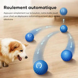 Balle pour chien taquine automatique et intelligente