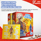 Puzzle d’Anatomie Humaine pour Enfants