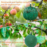 Pièges Collants à Mouches à Fruits Suspendus